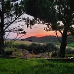 Bruion Connemara