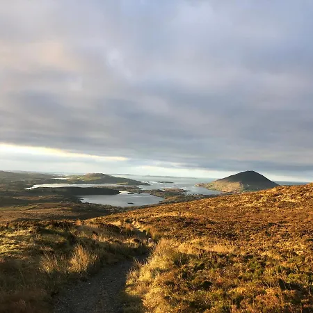 Bruion Connemara 公寓 Cleggan